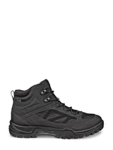 07807 Xpedition III