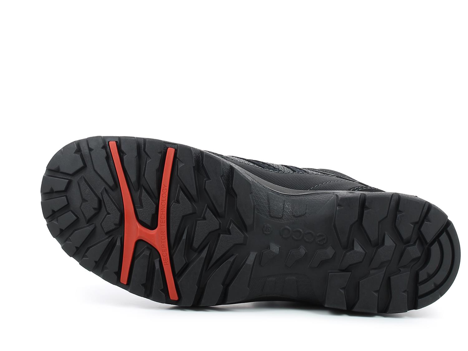 07795 Xpedition III