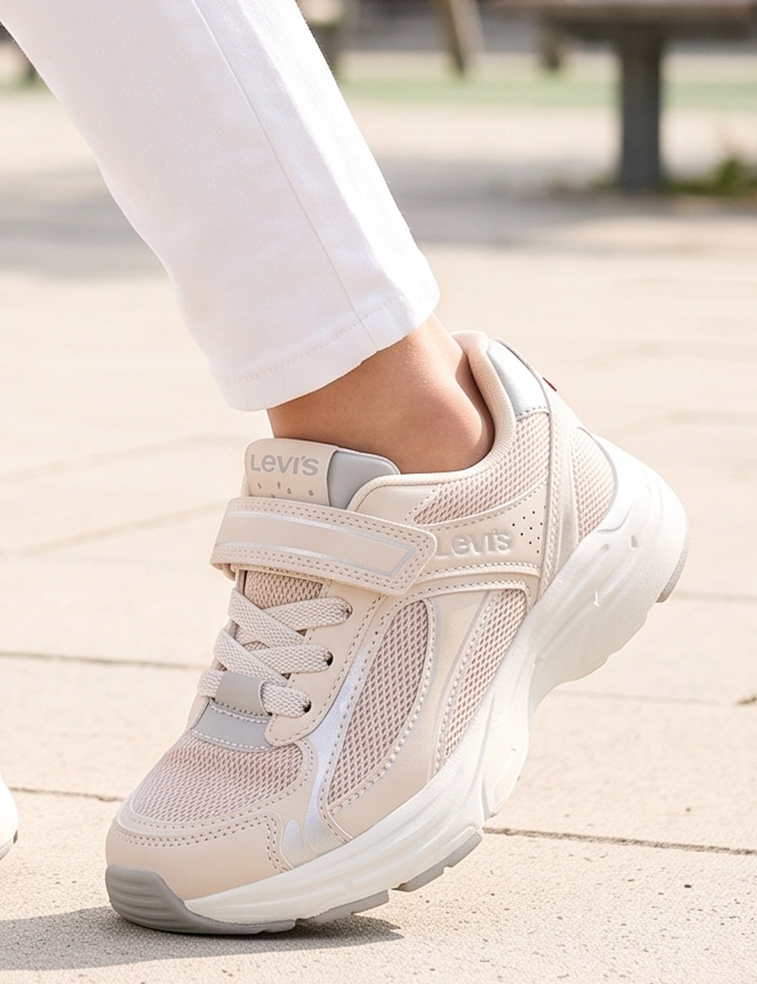 8955-fot.jpg