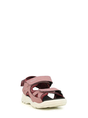 Ecco
