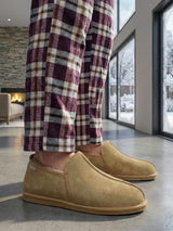 06442 Classico Suede chestnut