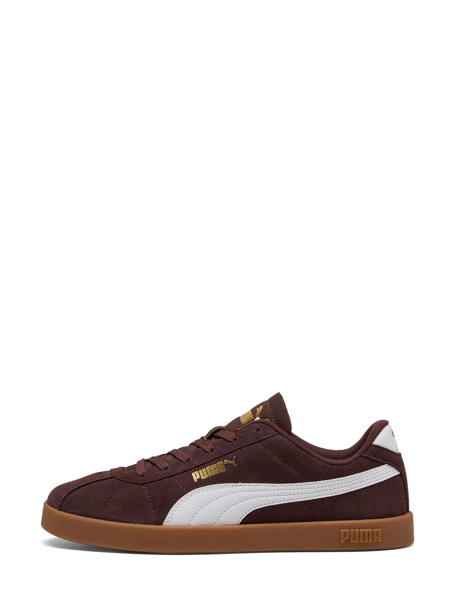 03294 Club II Chocolate Brown