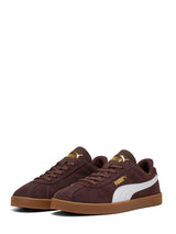03294 Club II Chocolate Brown