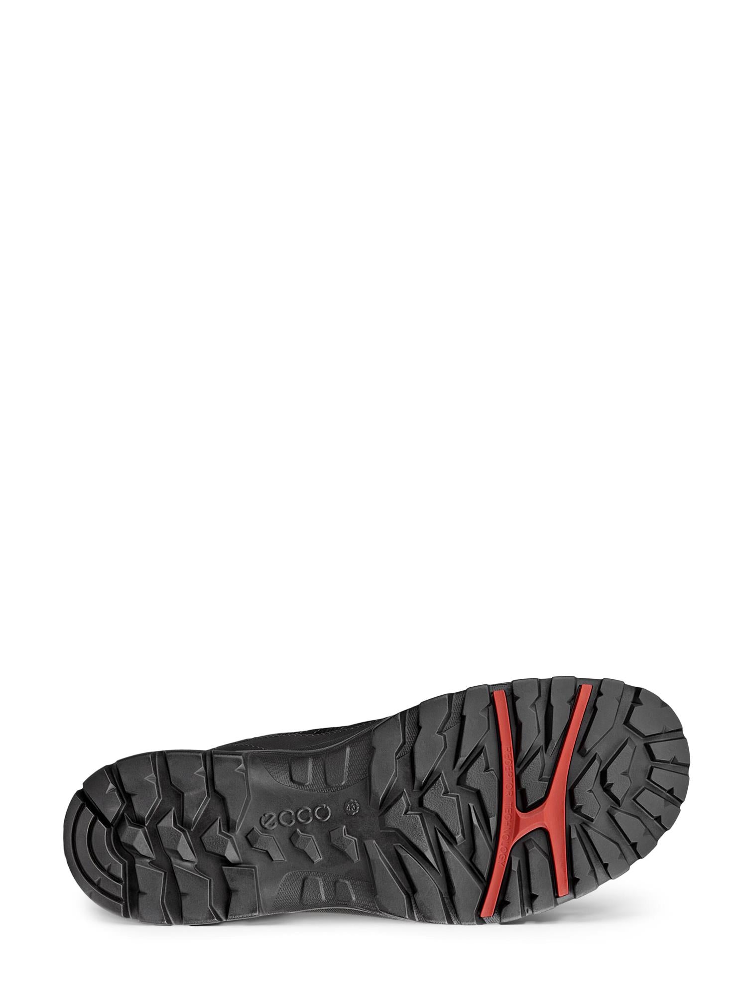 07807 Xpedition III
