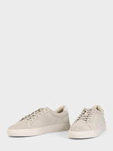 05255 Cody Suede Sneaker